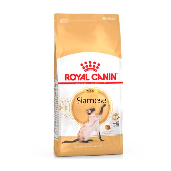 Royal Canin Siamese Gato Adulto