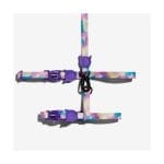 Leash + Harness Cat Set Zee.Cat