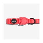 Collar Neon Coral Zee.Cat