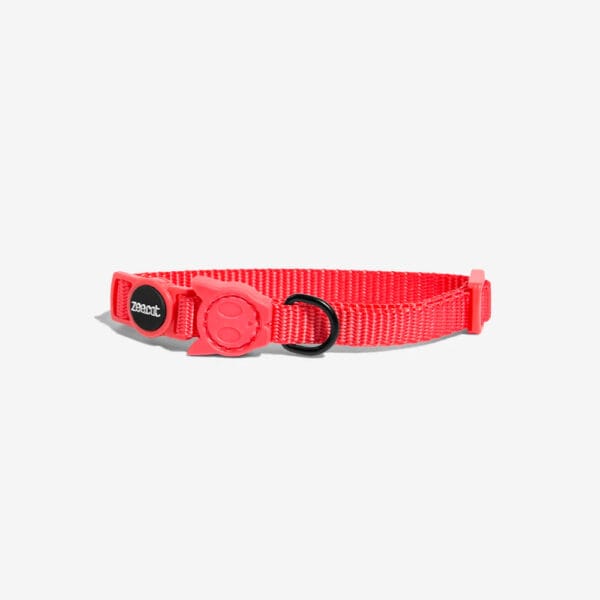 Neon Coral Collar Cat Zee.Cat