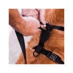 Neopro Blue H-Harness Zee.Dog - Imagen 4