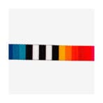Prisma Collar Cat Zee.Cat - Imagen 3