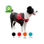 Doco Arnes Vertex Power - Imagen 2