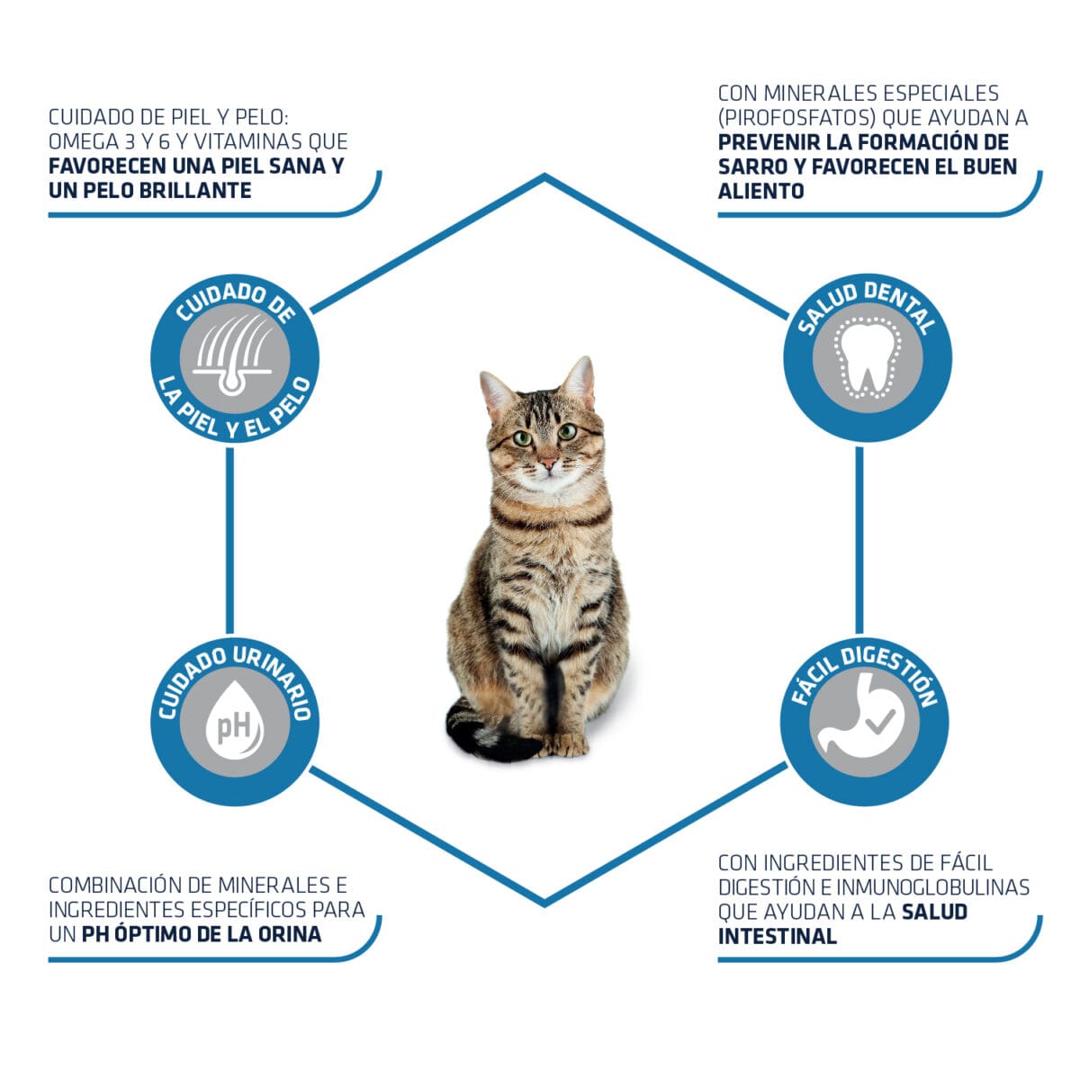 Advance Cat Adult - Imagen 2