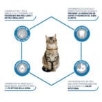 Advance Cat Adult - Imagen 2