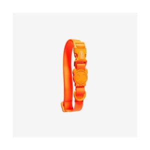 Neopro Tangerine Collar Zee.Dog