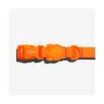 Neopro Tangerine Collar Zee.Dog - Imagen 2