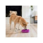 Comedero Lento Purpura Outward Hound - Imagen 2