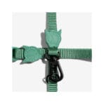 Army Green Leash + Harness Set  - Imagen 3