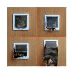 Puerta De Gato - Imagen 2