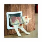 Puerta De Gato - Imagen 4