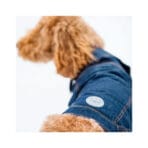 Chaqueta Denim Gfpet - Imagen 5