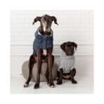 Chaqueta Denim Gfpet - Imagen 6