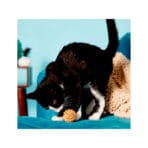 Kong Straw Ball - Imagen 2