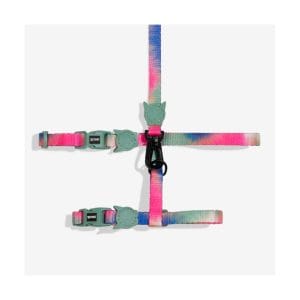 BLISS HARNESS LEASH SET