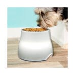 Comedero Elevado Blanco Dogit - Imagen 2