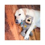 Kong Wild Knots Bear - Imagen 4