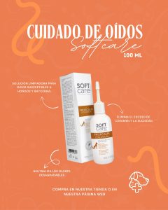 566137479 18069228068346755 4520261114205916278 n