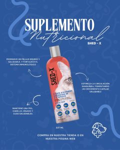 Home 94 573462784 18068718872346755 4366945618788618663 n