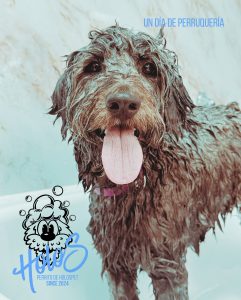 Home 94 582999507 18070430294346755 6792227563646689895 n