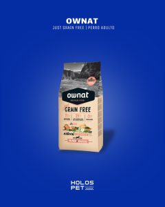 587014321 18070973645346755 4256374282442746309 n