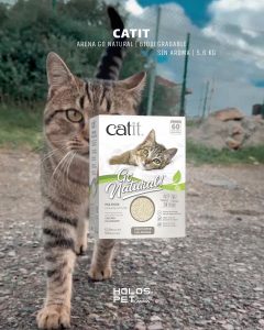 Home 93 588465634 18072609884346755 4151569546623139656 n