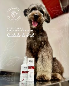 Home 93 590415113 18072453917346755 2885629445413903025 n