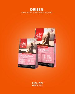 Home 93 591018891 18071968976346755 8149456076544163648 n