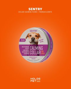 605851521 18074011187346755 3574289289748307759 n