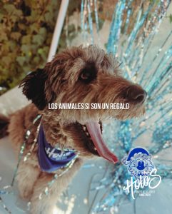 606594211 18073751750346755 1617696363519047739 n