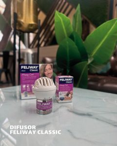 608139933 18074216567346755 5512278266258141287 n