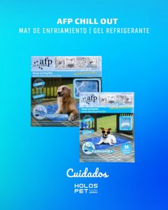 622972226 18076928264346755 5204199633627678542 n