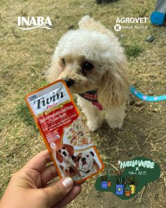 Home 94 624438396 18077117942346755 4923207182617971410 n