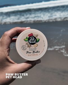 625099063 18077343806346755 1130864395728659794 n