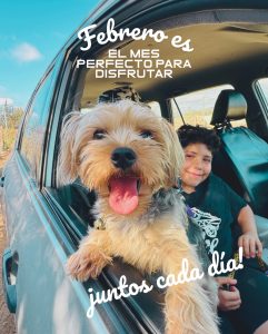 Home 94 626405479 18077609354346755 4080520009988165193 n