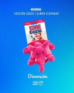 627053945 18077958716346755 5261214327045451303 n 1