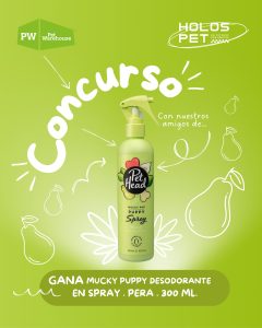 635366777 18078955181346755 3985297449570631584 n