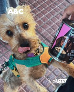 640443905 18079561115346755 4417585853720154754 n