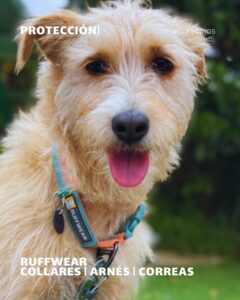 640917564 18079752653346755 3650666518793334479 n 1