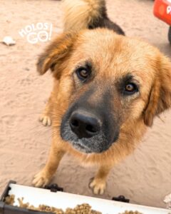 648986750 18080576471346755 6821829747323633581 n