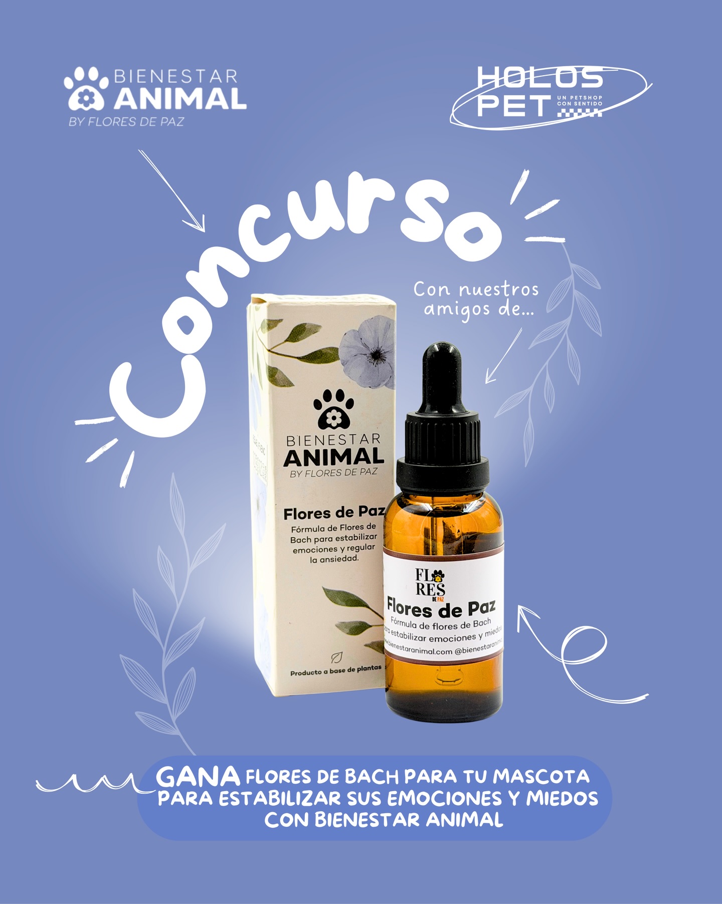 653582070 18081879026346755 5549725833022636523 n