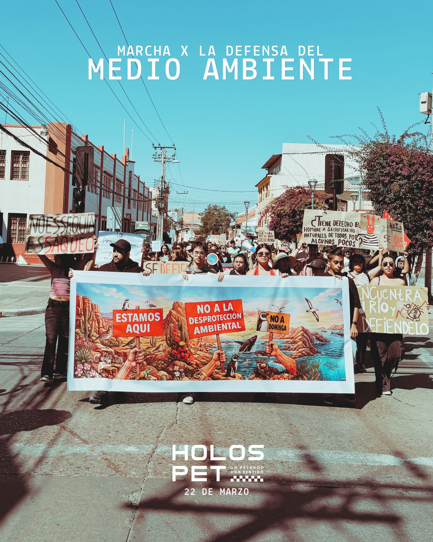 Home 77 656272229 18082732151346755 1744524827608624811 n