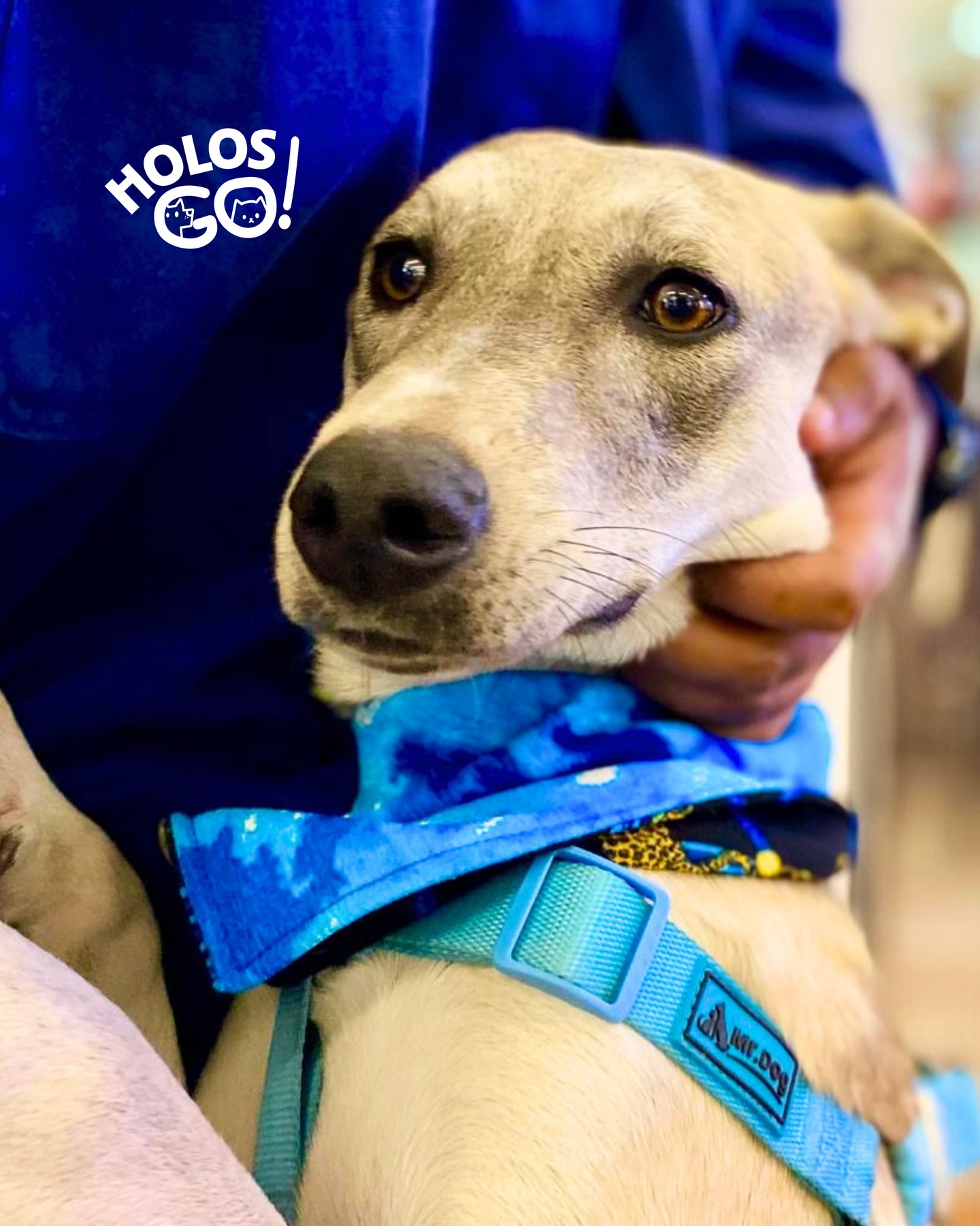 657920997 18083492183346755 8226071454026391415 n