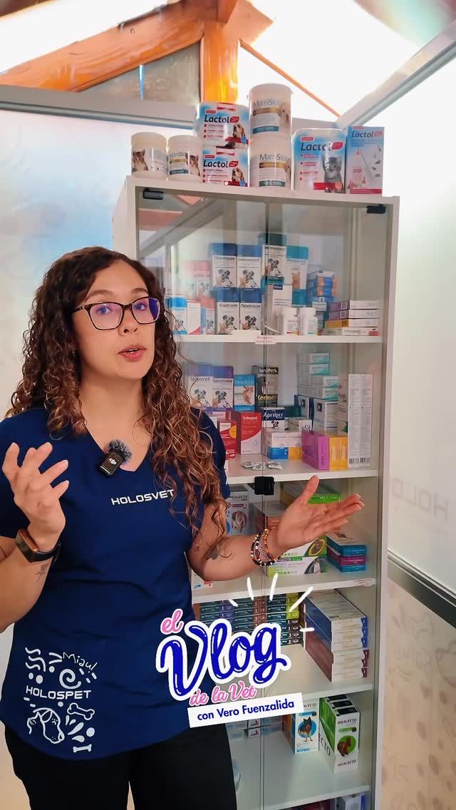 660483865 933868275948881 4978782985624708154 n