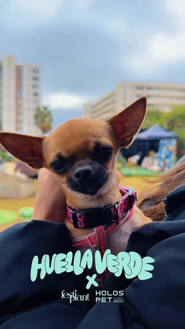 670505111 1318533296798263 5750088119078399662 n