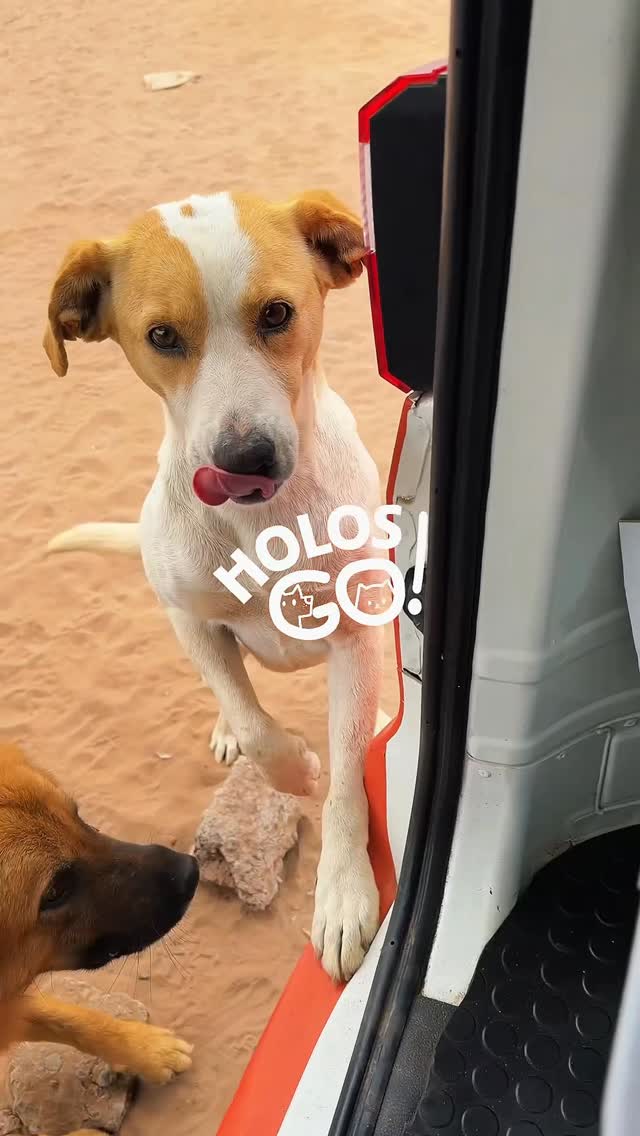 670772558 1111579154502381 2437074554830803714 n