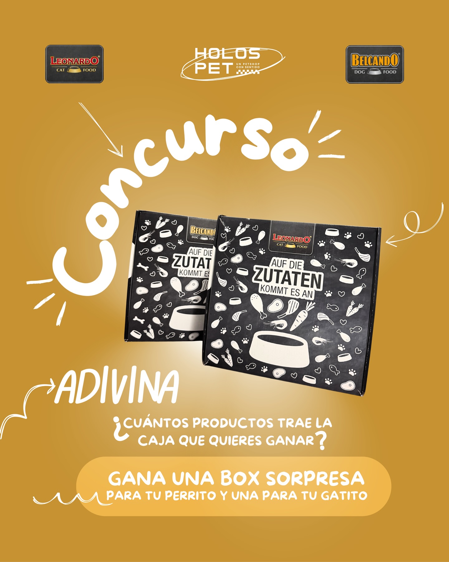 681289300 18086384936346755 596347506201962870 n