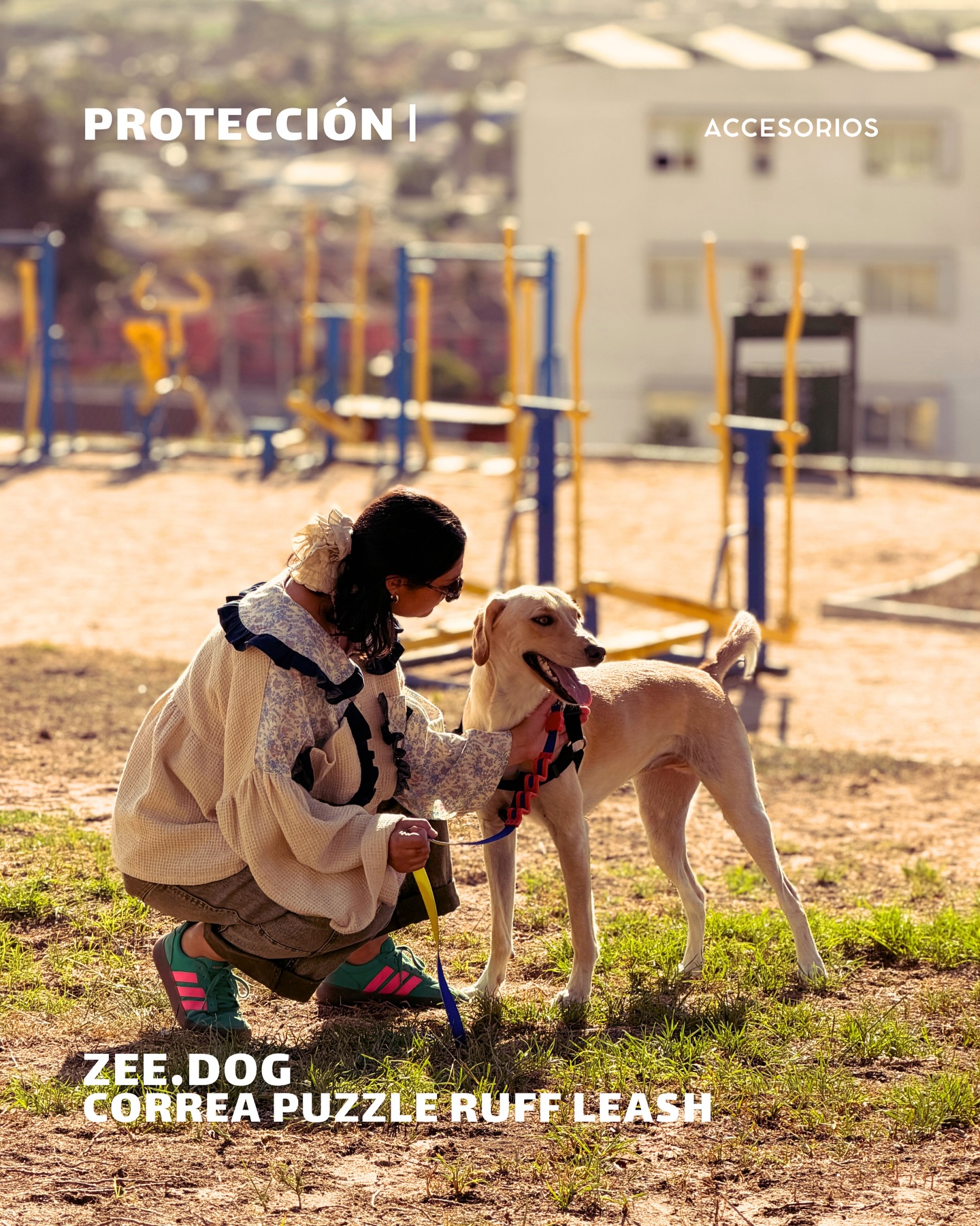 684268324 18086464907346755 3288704637423823799 n