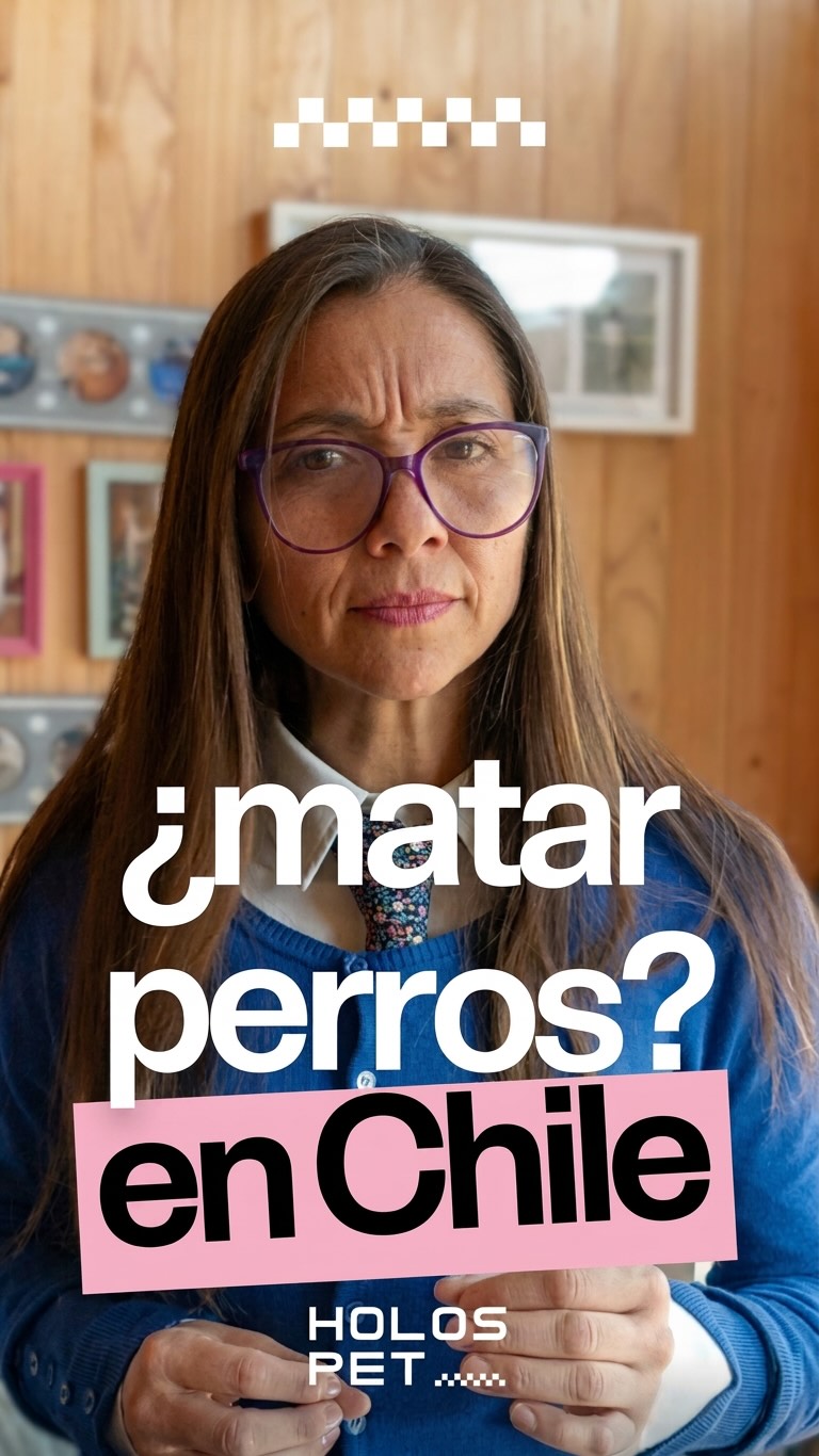 Home 82 771821156 18097912352346755 3795812464683273035 n