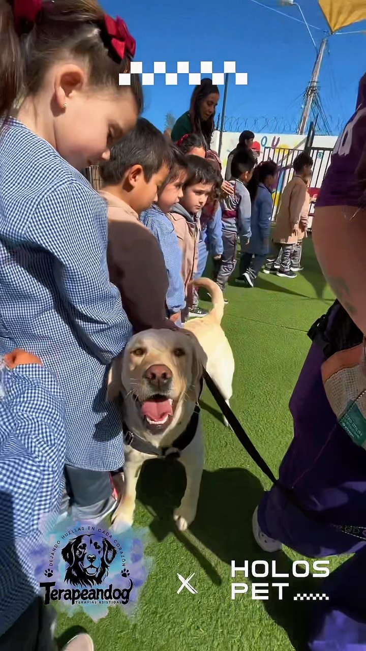 775183763 18098818112346755 5122448659304169967 n